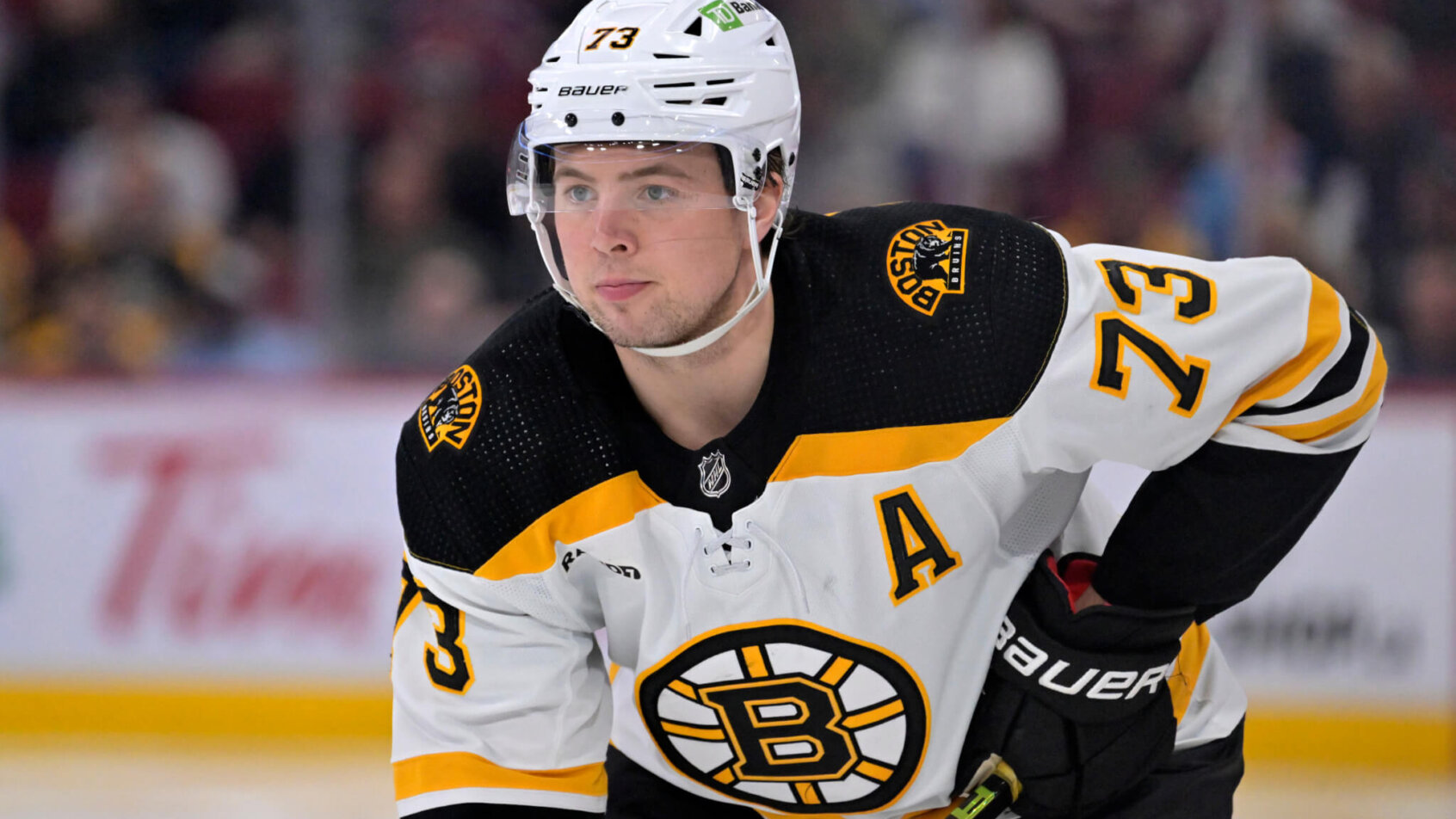 Pastrnak Stars and DiPietro Posts First Shutout as Bruins Blank Predators 6-0 - inside2