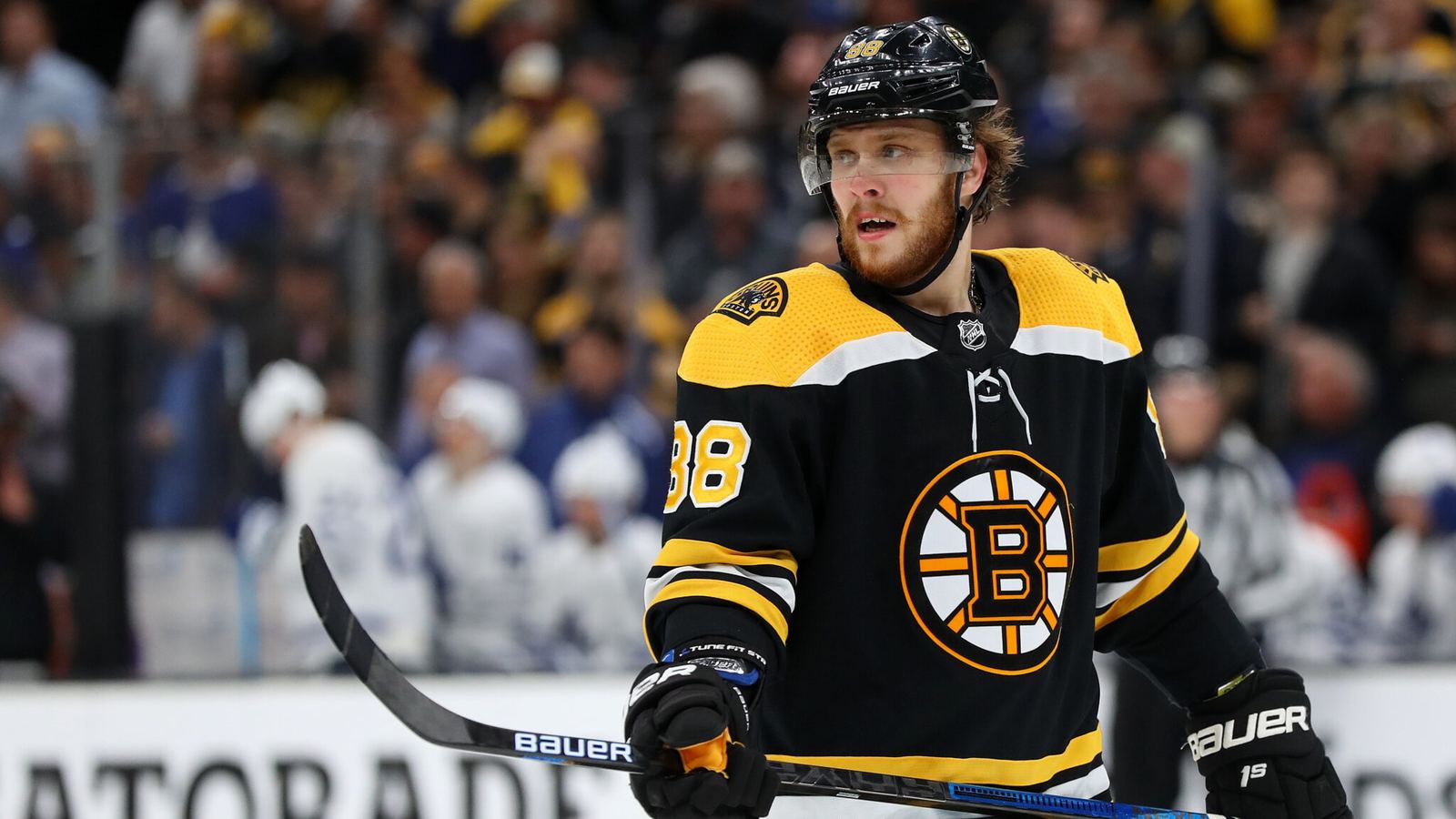 David Pastrnak playing for the Boston Bruins
